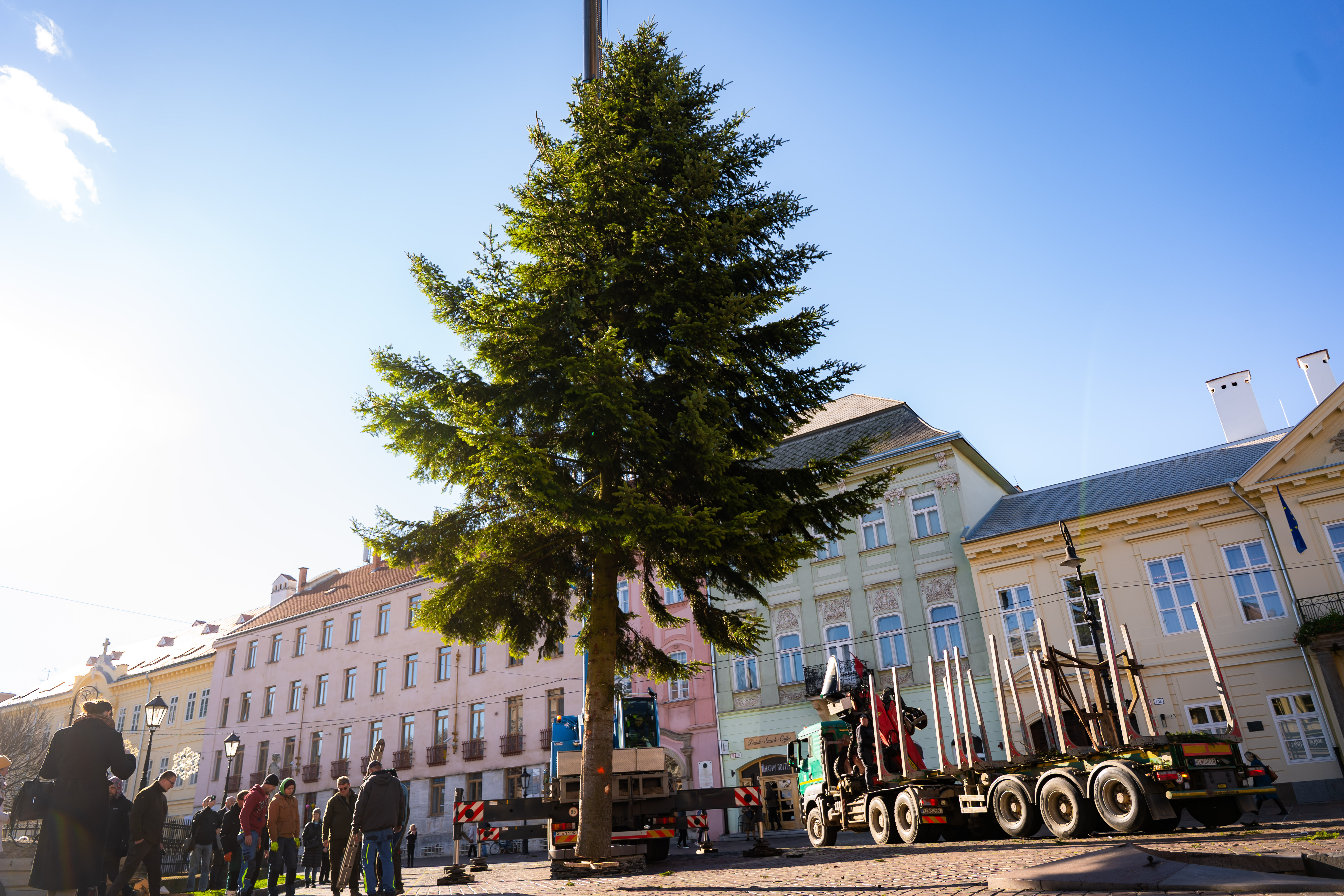 Umiestnovanie Vianocneho stromu-21